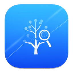 JSON Viewer Widget