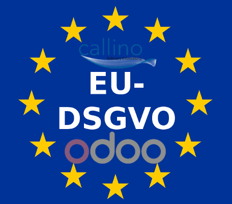 DSGVO Unterstützung für Odoo